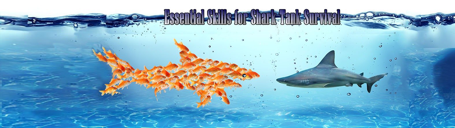 Essential skills for shark-tank survival